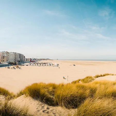 Coastal Comfort In The Heart Of With Terrace & Sea Views 아파트 크노케-하이스트